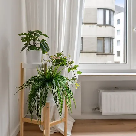 Petite * אוסטנדה